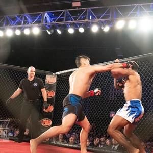 Meet your Posher, Eddie